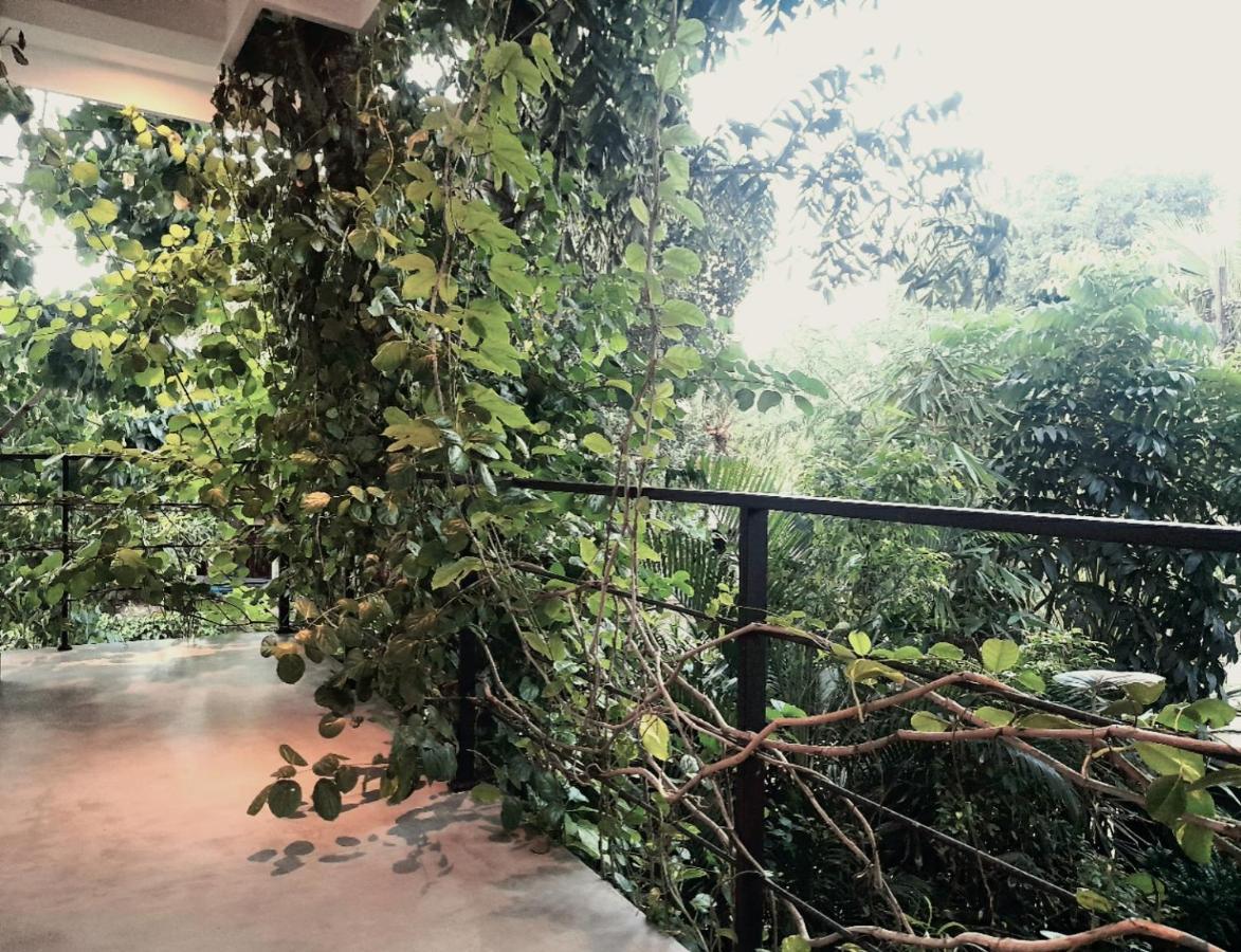 Weligama Bay Watsila Resort المظهر الخارجي الصورة