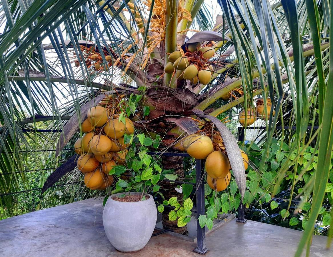 Weligama Bay Watsila Resort المظهر الخارجي الصورة
